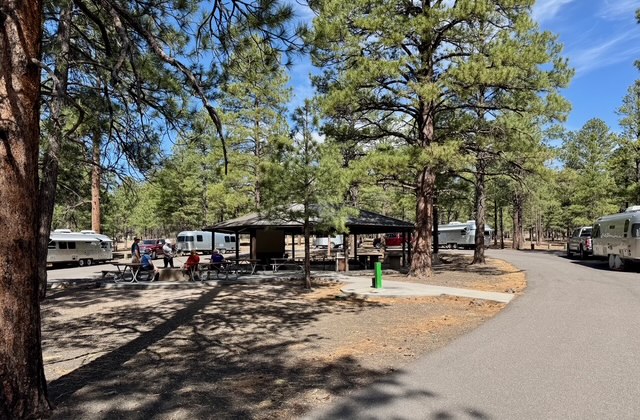 Airstreams camped in a group campground near Flagstaff for an Arizona Airstream rally.